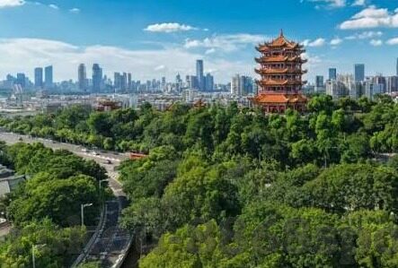 mk体育app品牌形象-MK体育APP，塑造品牌形象 引领数字体育新时代